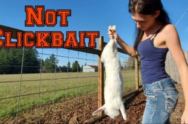 How To Humanely Dispatch A Rabbit