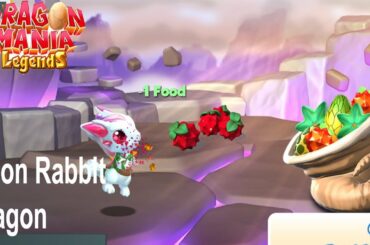 🐰 Cute The  Moon Rabbit Dragon Baby | Moon Rabbit Dragon Hatching! | Dragon Mania Legends #1118 HD