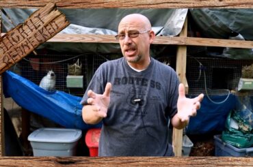 Rabbits Eating Their Own Babies - The SR Rabbit Update 5-16-17