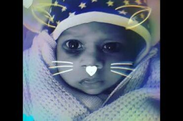 Cute bunny 😍❤️