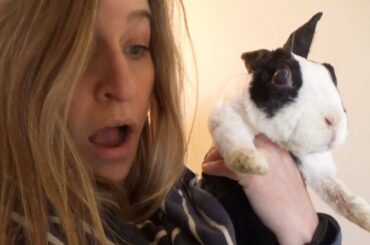 Rabbit Poops Are Like Slinkies