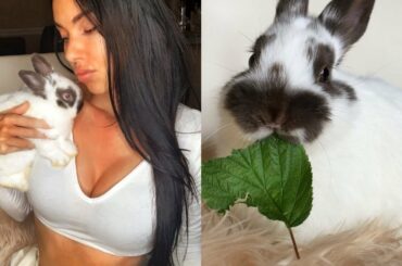 Baby Bunny eating Raspberry Leaves ASMR