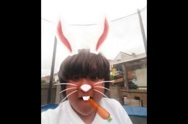 Cute bunny rabbit