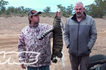 Shooting Cats: Australia's War on Feral Cats