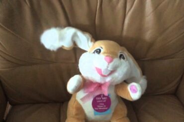 Cute Rabbit Song #1
