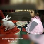Funny Baby bunny Rabbit fun with childrens, cute baby rabbit | खरगोश की बच्चों के साथ मस्ती