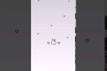 [Som you] Cute rabbit's grey love (AOD+LIVE)