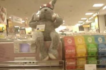 Cute Bunny in the shop in Japan🐰