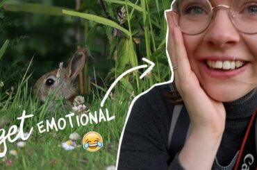 The cutest little bunnies!! || Wildlife Photography Vlog #3