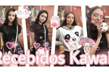 Recebidos Kawaii da Newchic+SORTEIO||Lauraa Menezes