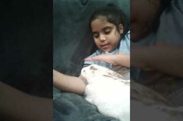 Cute bunny