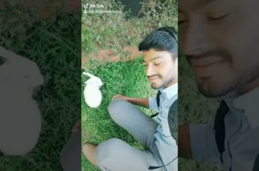 My cute pet rabbit tuttu
