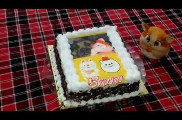 American Bully Bruno Celebrates His 3rd Birthday |Receives Cute Toy Gifts | Cute American Bully Cake