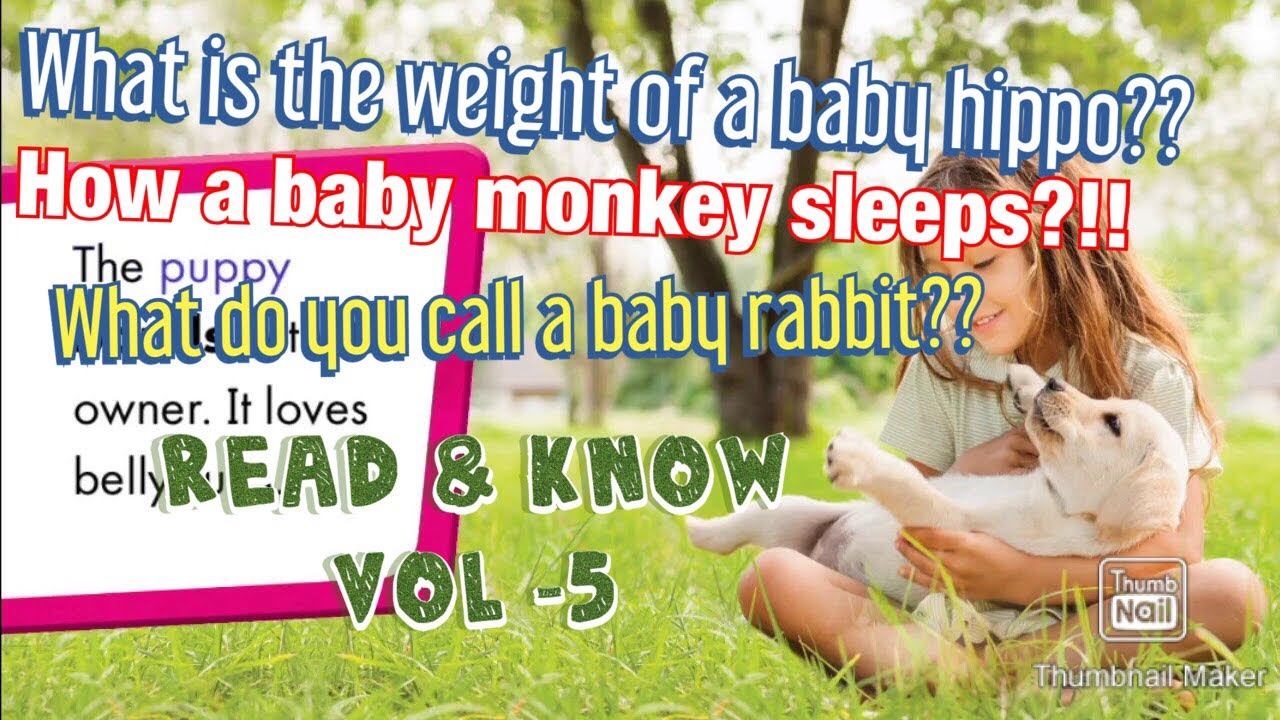 Read & Know - 5 | baby owls, baby panda, baby monkey, baby hippo, baby dog, baby rabbit |educational