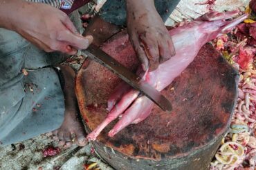Wild Rabbit Cutting & Chopping in Indian Meat Market