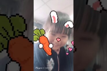 Cute bunny!