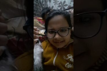 Cute rabbit