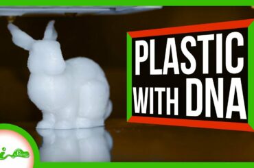 Plastic Bunny 3D Printed From Its Own DNA