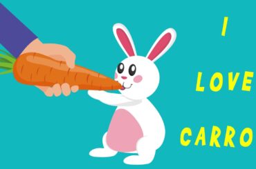Cute Bunny - Motion Graphic