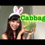 CABBAGE TO WHO??: 【bunny】【cute adorable animals】
