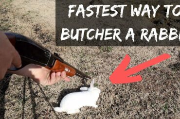 VEGANS Will Report This! Fastest Way To Process A Rabbit