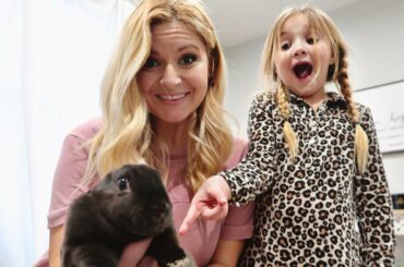 Meet Our BABY BUNNY