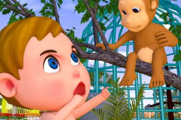 Baby Boong Good Kids with Rabbit W Cartoon Nursery Rhymes for Children