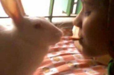 Cute rabbit eating carrots from her owner