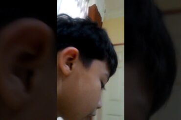 Buying A Pet Rabbit Part 2