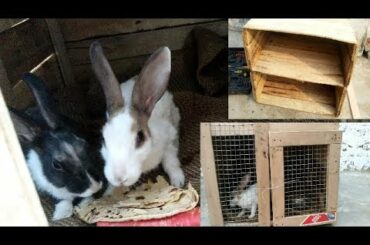 Make A Beautiful Rabbit Home || Make Home Easy Trick. || Rabbit house