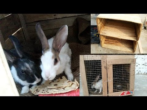 Make A Beautiful Rabbit Home || Make Home Easy Trick. || Rabbit house