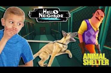 Hello Neighbor RESCUE in Neighbor's Animal Shelter with Scruff-a-Luvs Babies!!