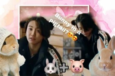 Jungkook Bunny baby moments in bon voyage