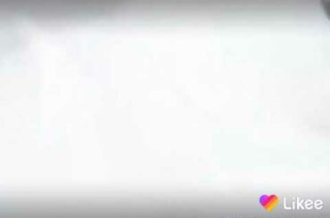 White , beautiful, cute rabbit