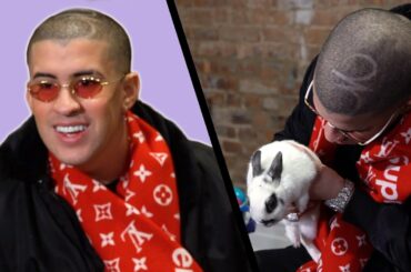 Bad Bunny Gets Surprised With Bunnies (While Answering Fan Questions)