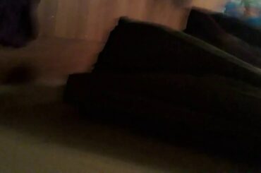 Elf on the Shelf is real moving three times in a row and bunny is so cute love Skylar