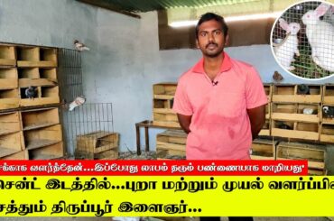 2 சென்ட் இடத்தில்...புறா மற்றும் முயல் வளர்ப்பில் அசத்தும் திருப்பூர் இளைஞர் | Rabbit & Pigeon Farm
