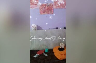 My cute busy boys 🐰🐶😘 #bunny #puppy #rabbit #dog #animals #pets #love #life #brothers #myboys