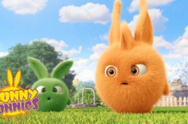 SUNNY BUNNIES - Playing Together | Season 3 | Cartoons for Children