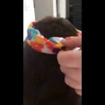 Blulu Baby Girl Turban Knot Rabbit Hairband Headwear Headbands