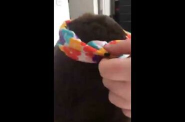 Blulu Baby Girl Turban Knot Rabbit Hairband Headwear Headbands