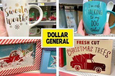 DOLLAR GENERAL SHOPPING!!! NEW FINDS AT A "NEW" STORE!!!