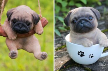 Top Cute Baby Bulldog Videos - Funny and Cute French Bulldog Puppies 2019 #122 | Dogs Awesome