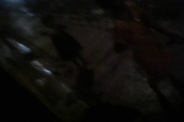 Rabbit ka video       sumit