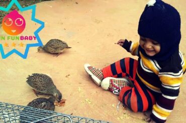 Cute Bird Falling in Love with Baby | Birds and Babies Compilation | Baby and Bird Funny Fails