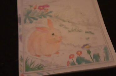 Meh adorable rabbit Rolo (So Cute)