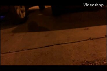 WE CAUGHT A BUNNY  ( so cute )