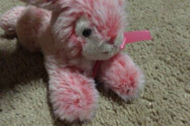 Pink bunny is cute