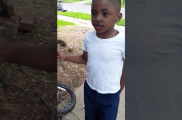 My bunny is a cute bunny her name is Oreo but she died