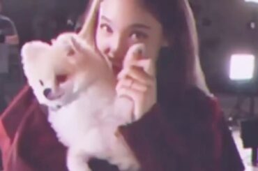 Nayeon TWICE the adorable baby rabbit 🐰💕
